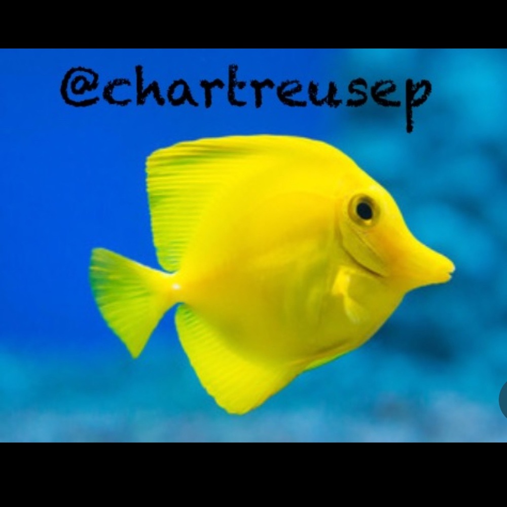 🐠 Chartreuse Pirhana 🐠 - Picture 2 of 11